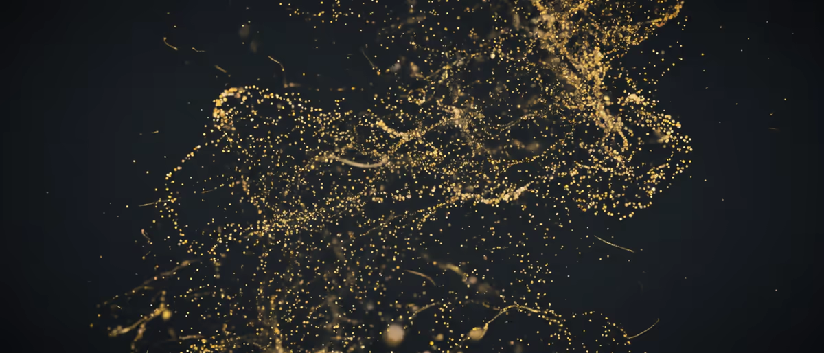 SpaceBlender de Soundtoys : espace imaginaire, pas v2 (2026)