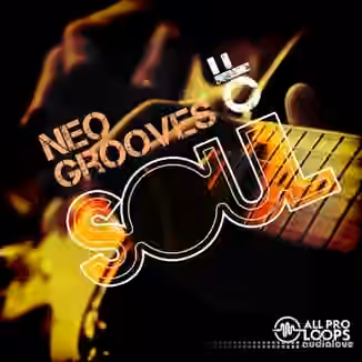 All Pro Loops Neo Grooves Of Soul [WAV, MiDi]