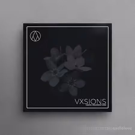AngelicVibes Vxsions [WAV, MiDi]