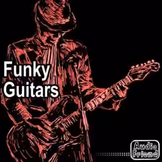 AudioFriend Funky Guitars [WAV]