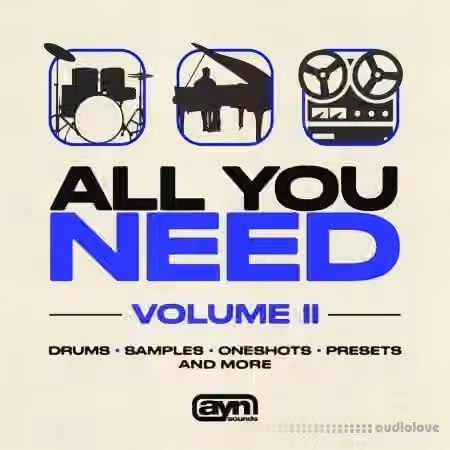 AYN Sounds All You Need Vol. II [WAV, MiDi, Synth Presets]