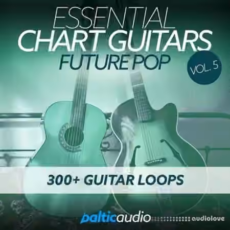Baltic Audio Essential Chart Guitars Vol.5 [WAV]