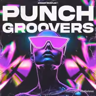 Banger Samples Punch Groovers [WAV, MiDi, REX]