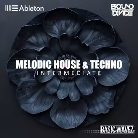 Basic Wavez (Intermediate) Write 2 Melodic House and Techno Tracks with Bound to Divide [TUTORiAL]