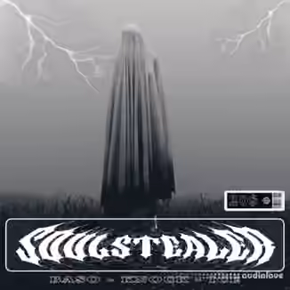 Basobeats Soulstealer Sample Library [WAV]