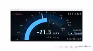BeatRig LevelViewS r537 [WiN]