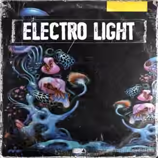 Bfractal Music Electro Light [WAV, MiDi]