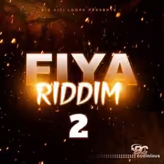 Big Citi Loops Fiya Riddim 2 [WAV]
