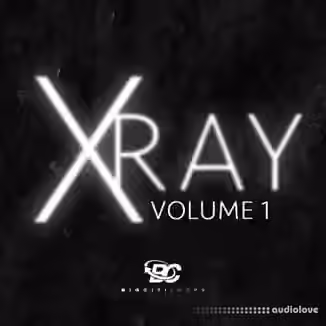 Big Citi Loops X-Ray Vol 1 [WAV]