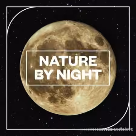 Blastwave FX Nature by NIght [WAV]