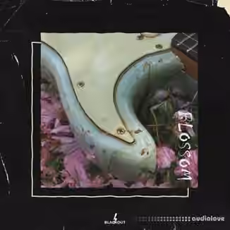 Blvckout Blossom [WAV]