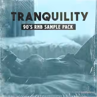 CRATE PLUG Tranquility 90s RNB Sample Pack [WAV]