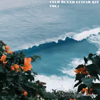 CXLD BLXXD Guitar Kit Vol.1 [WAV]