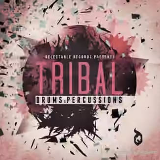 Delectable Records Tribal Drums and Percussion [WAV]