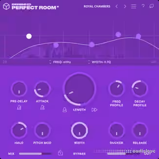 Denise Audio Perfect Room 2 v1.0.0 [WiN]