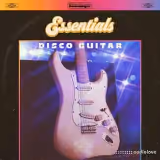 Discotheque Essentials: Disco Guitar [WAV]