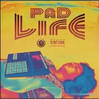 Divided Souls Pad Life [WAV]