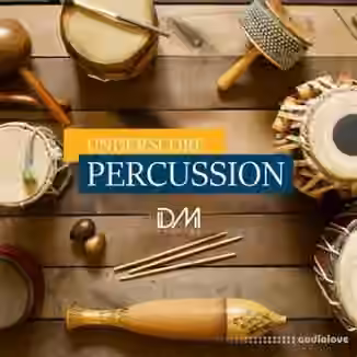 Dm Samples Underscore Percussion [WAV]