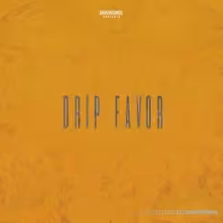 DRIVENSOUNDS DRIP FAVOR [WAV]