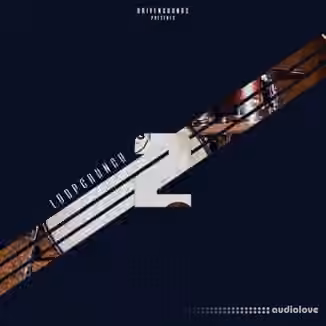 DRIVENSOUNDS LOOPCRUNCH 2 [WAV]