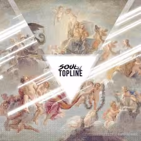 DRIVENSOUNDS Soul Of Topline [WAV]