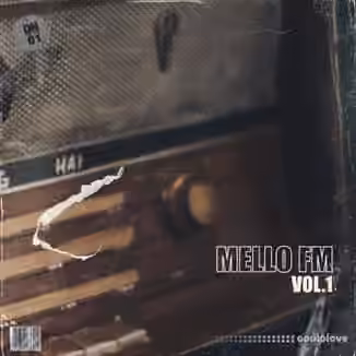 Dusty Notes Music Library Mello FM Vol.1 (Compositions and Stems) [WAV]