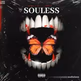 Dynasty Loops Souless [WAV]