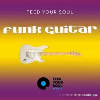 Feed Your Soul Music Feed Your Soul Funk Guitars [WAV]