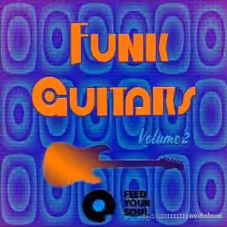 Feed Your Soul Music Funk Guitars Volume 2 [WAV]