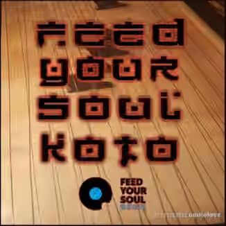 Feed Your Soul Music Koto [WAV]