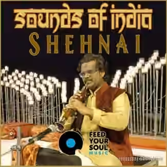 Feed Your Soul Music Shehnai Sounds of India [WAV]