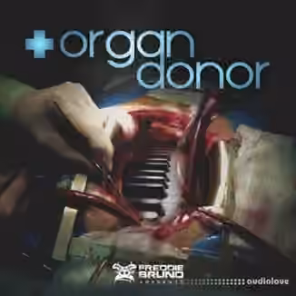 Freddie Bruno Organ Donor [WAV]