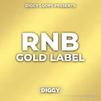 HOOKSHOW RnB Gold Label [WAV]