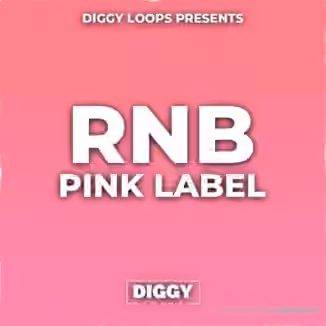 HOOKSHOW RnB Pink Label [WAV]