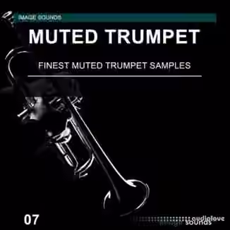 Image Sounds Muted Trumpet 07 [WAV]