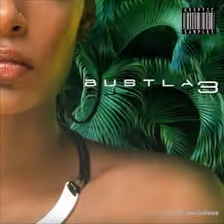 Kryptic Samples Bustla 3 [WAV, MiDi]