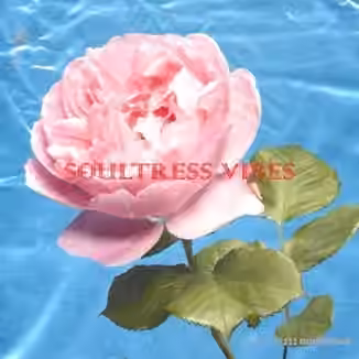 Loops 4 Producers Soultress [WAV]