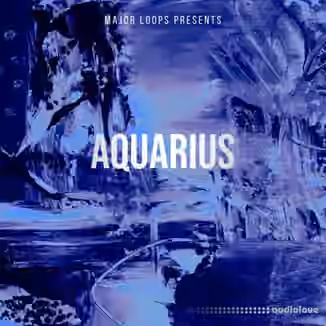 Major Loops Aquarius [WAV]