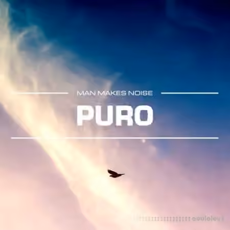 Man Makes Noise Puro [Synth Presets]