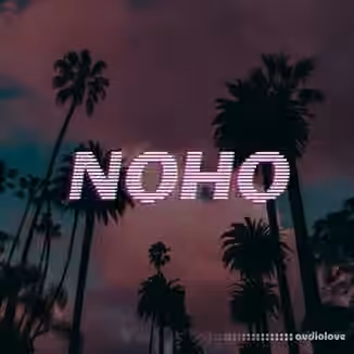 Mickey Shiloh NOHO [WAV]