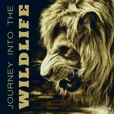 Nature Sounds Journey Into the Wildlife Collection of Various Nature Sounds Effects [FLAC]