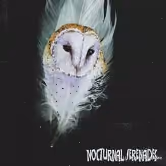 NightOWL Nocturnal Serenades (Compositions and Stems) [WAV]