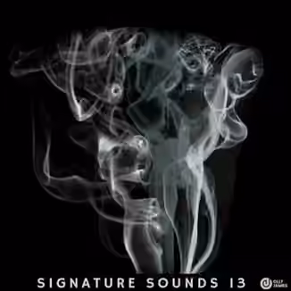 Olly James Signature Sounds Vol.13 [WAV, MiDi]