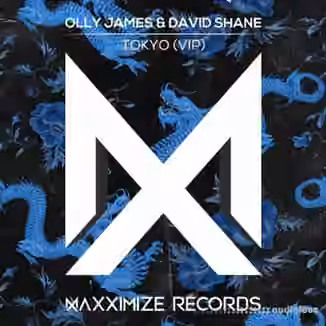 Olly James Signature Sounds Vol.15 [WAV, MiDi, Synth Presets]