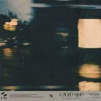 Paradise Music Library The Nuance Emporium Caged Bird [WAV]