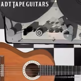 Past To Future Samples ADT Guitars [WAV]