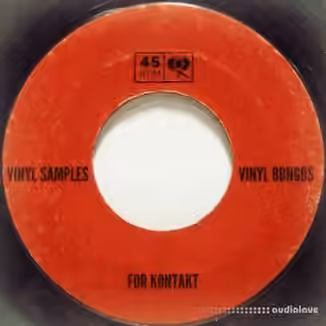PastToFutureReverbs Vinyl Bongos [KONTAKT]