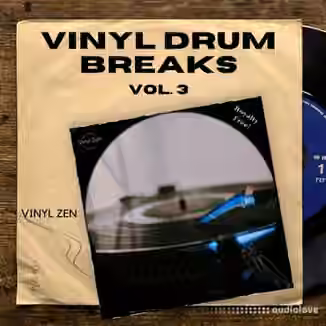 PastToFutureReverbs Vinyl Drum Breaks Vol.3 [WAV]