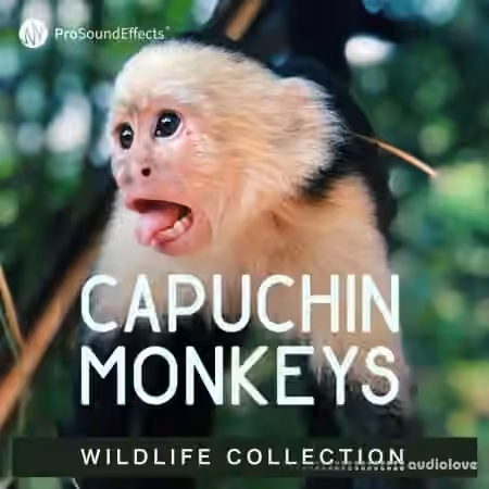 Pro Sound Effects Wildlife Collection Capuchin Monkeys [WAV]