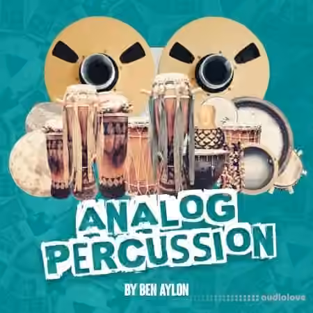 RARE Percussion Analog Percussion by Ben Aylon [WAV]
